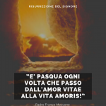 96644658-2A9C-461C-9BCE-96F48BB9DEE8