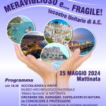 02262b27-3025-4e9e-beca-f59109b32f4a