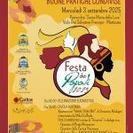 WhatsApp Image 2025-08-27 at 18.30.00